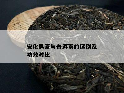 安化黑茶与普洱茶的区别及功效对比