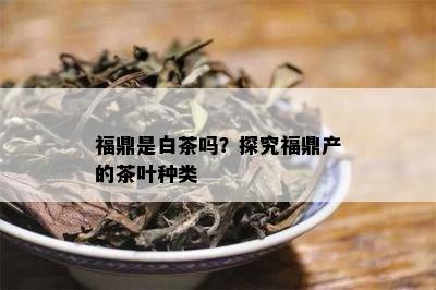 福鼎是白茶吗？探究福鼎产的茶叶种类