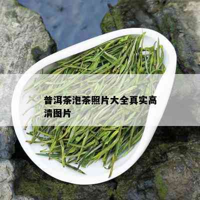 普洱茶泡茶照片大全真实高清图片