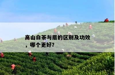 高山白茶与眉的区别及功效，哪个更好？