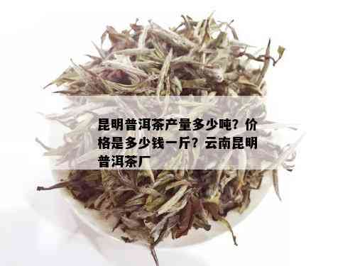 昆明普洱茶产量多少吨？价格是多少钱一斤？云南昆明普洱茶厂