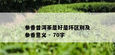 参香普洱茶是好是坏区别及参香意义 - 70字