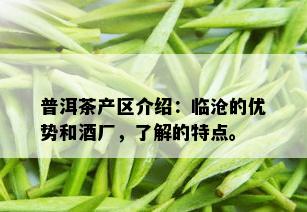 普洱茶产区介绍：临沧的优势和厂，了解的特点。