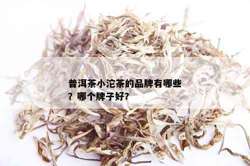 普洱茶小沱茶的品牌有哪些？哪个牌子好？