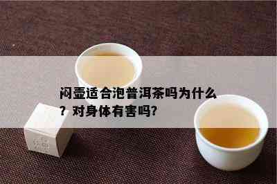 闷壶适合泡普洱茶吗为什么？对身体有害吗？