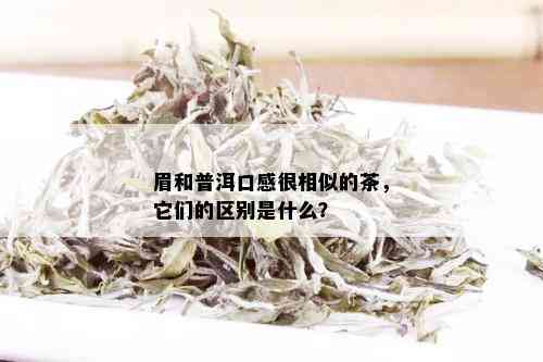 眉和普洱口感很相似的茶，它们的区别是什么？