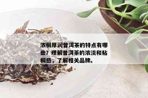 浓稠厚润普洱茶的特点有哪些？理解普洱茶的浓淡和粘稠感，了解相关品牌。