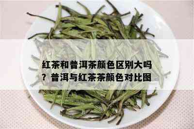 红茶和普洱茶颜色区别大吗？普洱与红茶茶颜色对比图