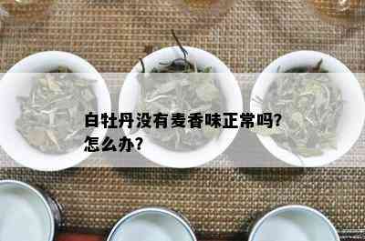 白牡丹没有麦香味正常吗？怎么办？