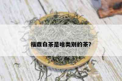 福鼎白茶是啥类别的茶？