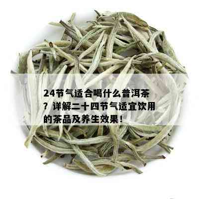 24节气适合喝什么普洱茶？详解二十四节气适宜饮用的茶品及养生效果！