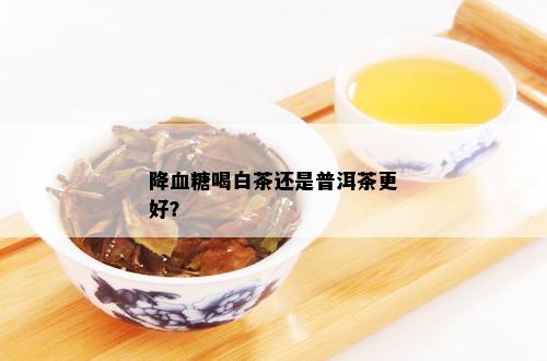 降血糖喝白茶还是普洱茶更好？