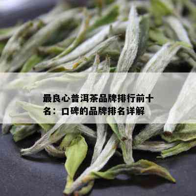 最良心普洱茶品牌排行前十名：口碑的品牌排名详解