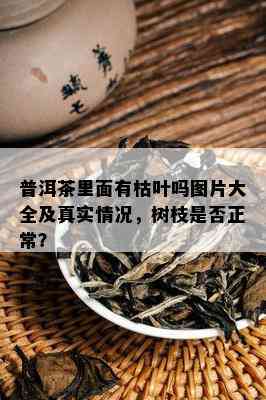 普洱茶里面有枯叶吗图片大全及真实情况，树枝是否正常？