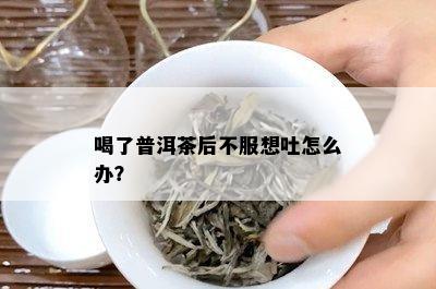 喝了普洱茶后不服想吐怎么办？