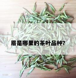 眉是哪里的茶叶品种？