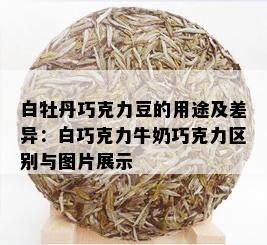 白牡丹巧克力豆的用途及差异：白巧克力牛奶巧克力区别与图片展示