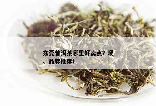 东莞普洱茶哪里好卖点？场、品牌推荐！