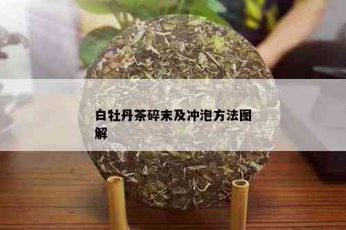 白牡丹茶碎末及冲泡方法图解