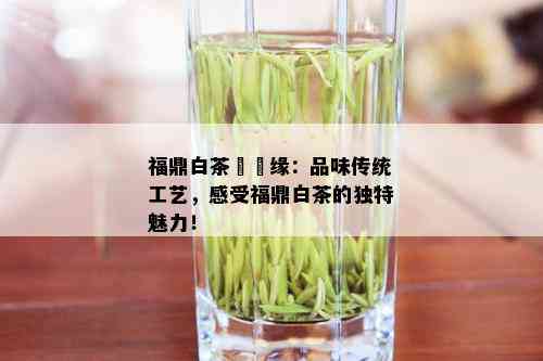 福鼎白茶瀧聖缘：品味传统工艺，感受福鼎白茶的独特魅力！