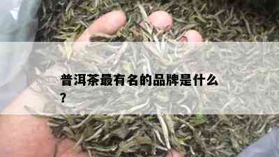 普洱茶最有名的品牌是什么？