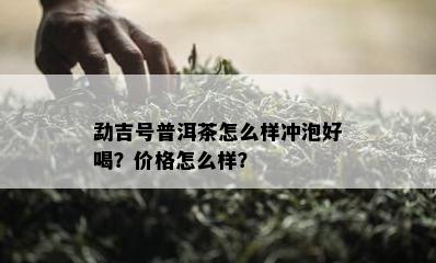 勐吉号普洱茶怎么样冲泡好喝？价格怎么样？