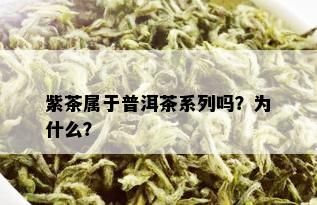 紫茶属于普洱茶系列吗？为什么？