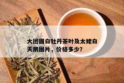 大团圆白牡丹茶叶及太姥白天鹅图片，价格多少？