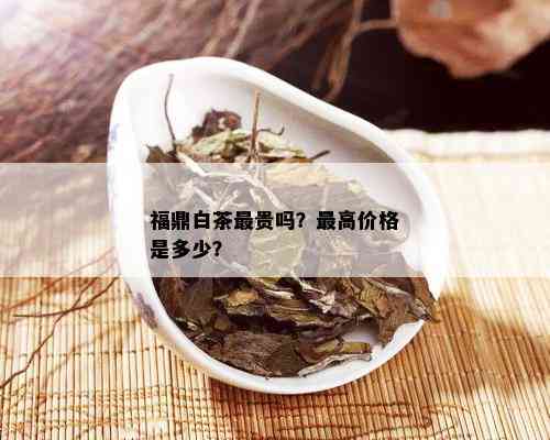 福鼎白茶最贵吗？更高价格是多少？