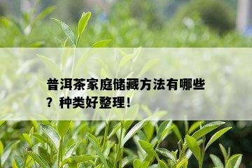 普洱茶家庭储藏方法有哪些？种类好整理！