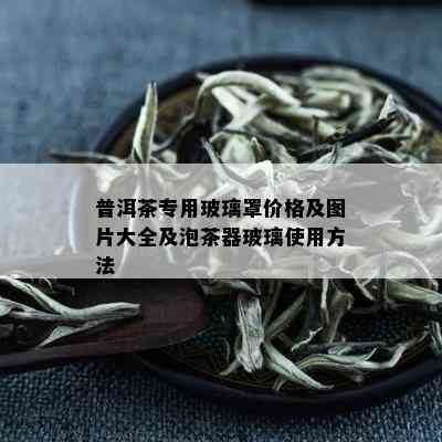 普洱茶专用玻璃罩价格及图片大全及泡茶器玻璃使用方法