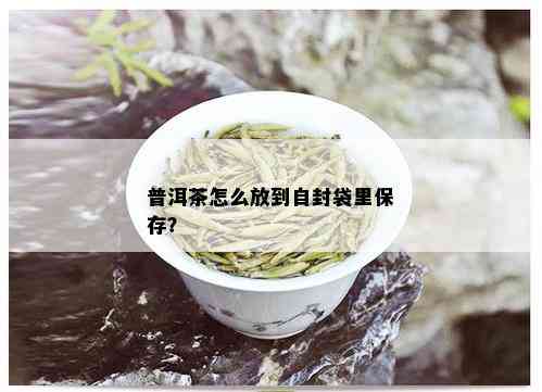 普洱茶怎么放到自封袋里保存？