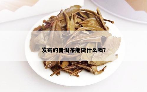 发霉的普洱茶能做什么喝？