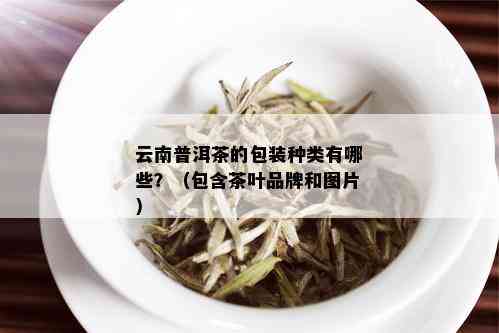 云南普洱茶的包装种类有哪些？（包含茶叶品牌和图片）