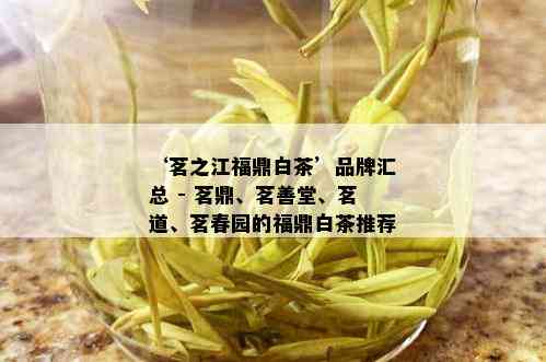 ‘茗之江福鼎白茶’品牌汇总 - 茗鼎、茗善堂、茗道、茗春园的福鼎白茶推荐