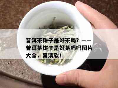 普洱茶饼子是好茶吗？——普洱茶饼子是好茶吗吗图片大全，高清欣！