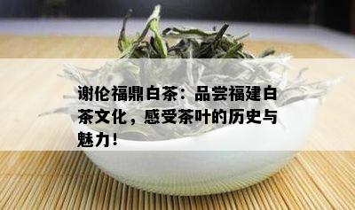 谢伦福鼎白茶：品尝福建白茶文化，感受茶叶的历史与魅力！