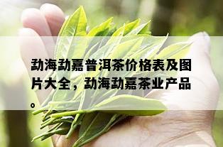 勐海勐嘉普洱茶价格表及图片大全，勐海勐嘉茶业产品。