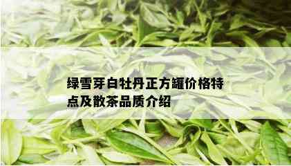 绿雪芽白牡丹正方罐价格特点及散茶品质介绍