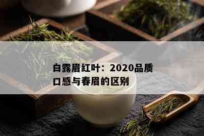 白露眉红叶：2020品质口感与春眉的区别