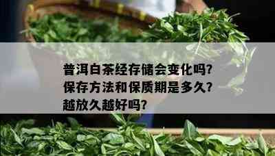 普洱白茶经存储会变化吗？保存方法和保质期是多久？越放久越好吗？