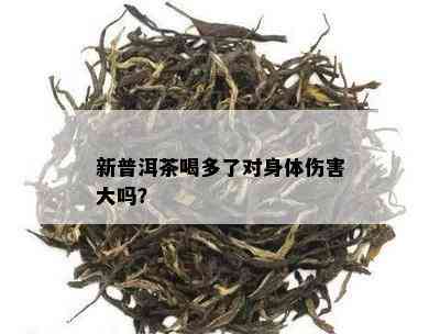 新普洱茶喝多了对身体伤害大吗？