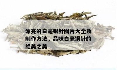 漂亮的白毫银针图片大全及制作方法，品味白毫银针的绝美之美