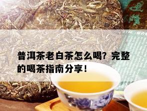 普洱茶老白茶怎么喝？完整的喝茶指南分享！