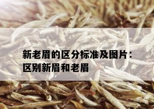 新老眉的区分标准及图片：区别新眉和老眉