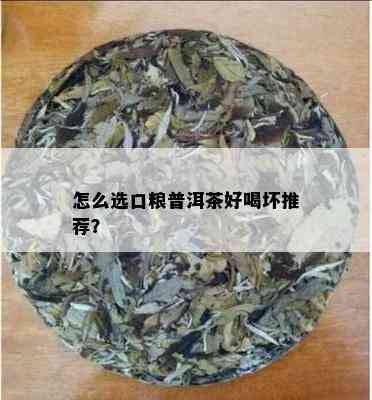 怎么选口粮普洱茶好喝坏推荐？