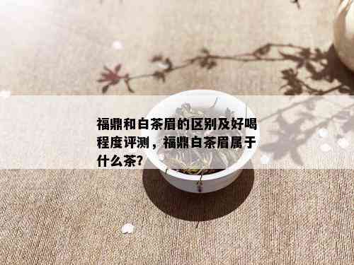 福鼎和白茶眉的区别及好喝程度评测，福鼎白茶眉属于什么茶？