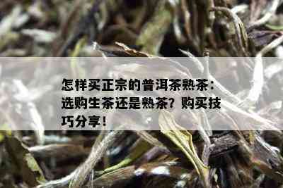 怎样买正宗的普洱茶熟茶：选购生茶还是熟茶？购买技巧分享！