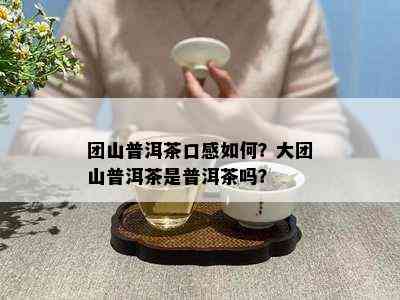 团山普洱茶口感如何？大团山普洱茶是普洱茶吗？