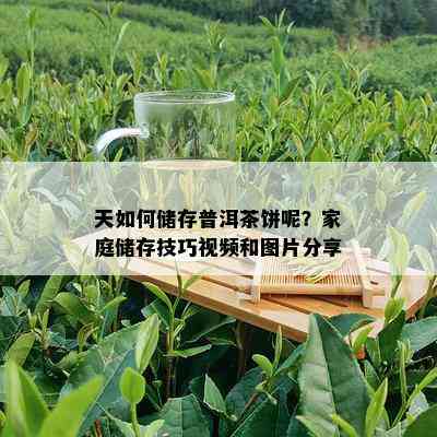 天如何储存普洱茶饼呢？家庭储存技巧视频和图片分享